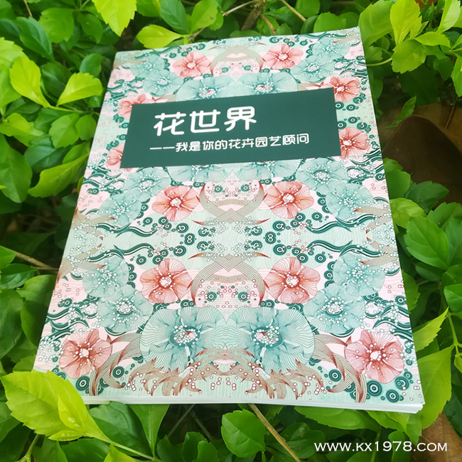 《花世界，我是你的花卉園藝顧問》——個人品牌故事畫冊案例